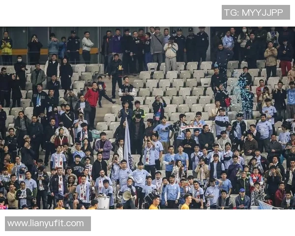 四川九牛与成都兴城球迷冲突事件引发关注球迷文化亟待理性发展