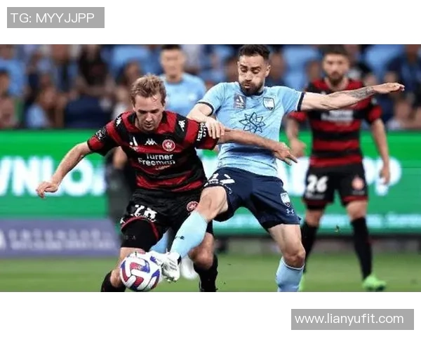 中央海岸与阿德莱德对决在即11月4日精彩赛事期待你的关注 中央海岸与阿德莱德对决在即11月4日精彩赛事期待你的关注