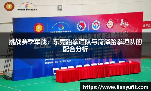挑战赛季军战：东莞跆拳道队与菏泽跆拳道队的配合分析